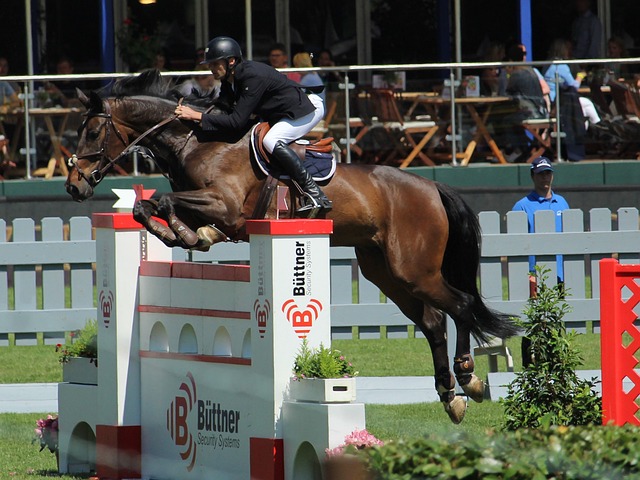 队氛围中 队氛围中