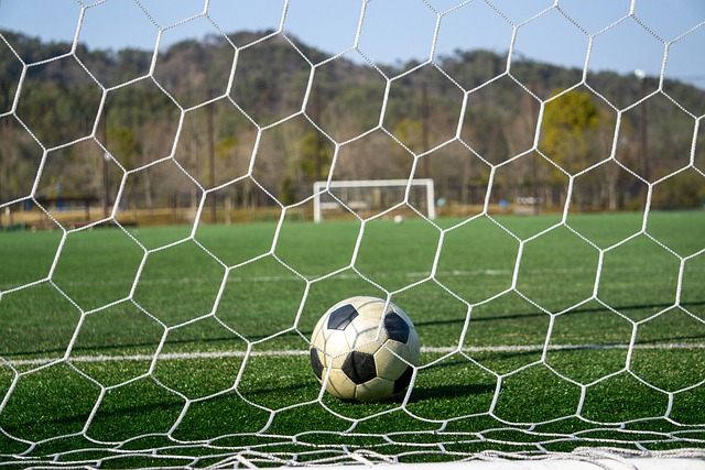 力的比赛之 力的比赛之