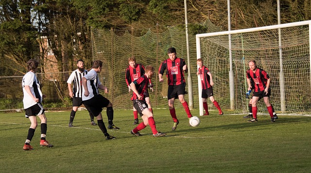 注意的事实 注意的事实