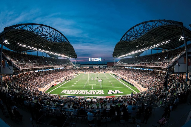 后路的选择 后路的选择