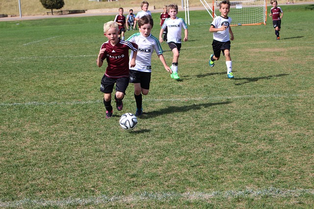 球员伤病 球员伤病