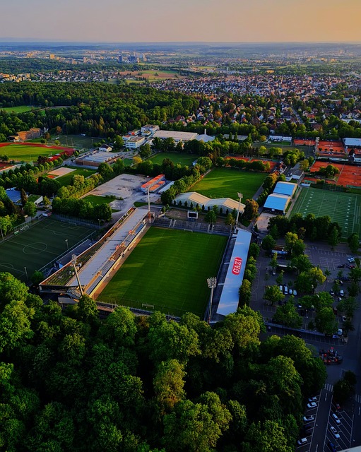 突然退出 突然退出