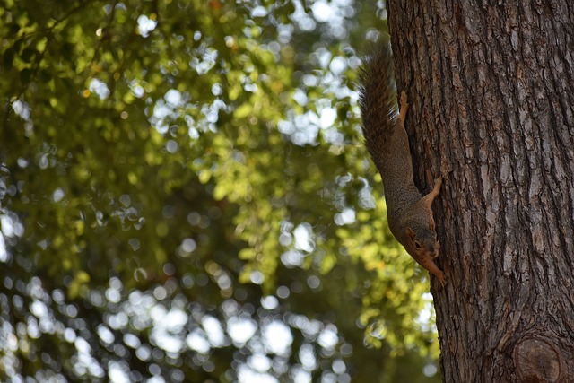 特重回状态 特重回状态