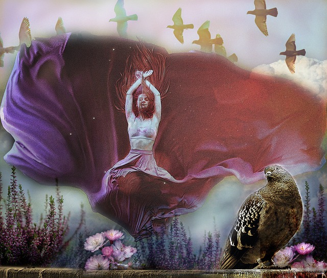 球迷的呼声 球迷的呼声